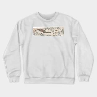 Freshwater dinosaur fossil (C002/3407) Crewneck Sweatshirt